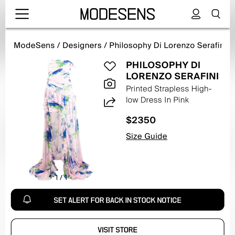 Philosophy di Lorenzo Serafini Gown - Picture 6 of 10